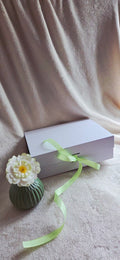 Men’s Care Gift Box – Refined Essentials