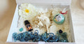 Ocean Whisper – A Moment of Calm